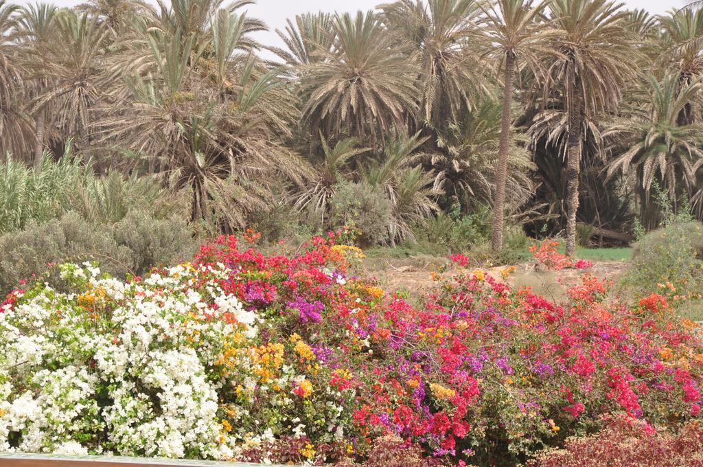 La Palmeraie De Massa Zaouit Massa Esterno foto