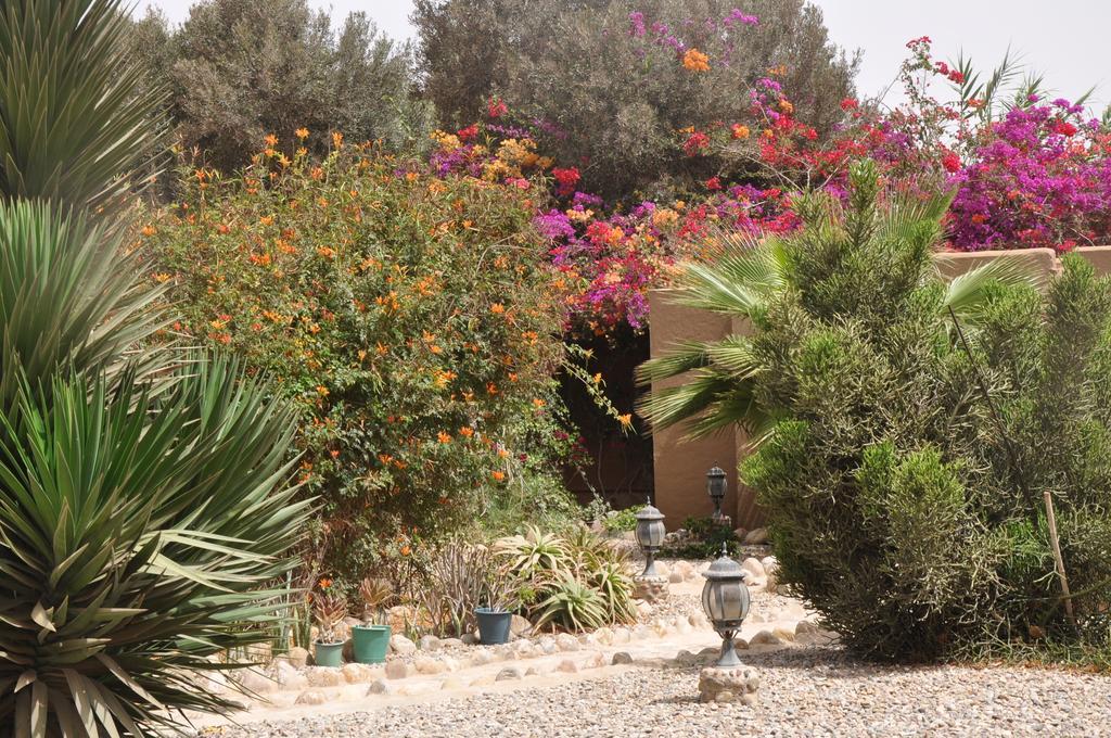 La Palmeraie De Massa Zaouit Massa Esterno foto
